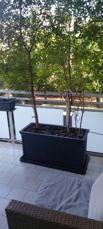 Garden Lejlighed Bari Eksteriør billede